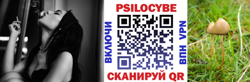 Галлюциногенные грибы Magic Shrooms  Александровск 